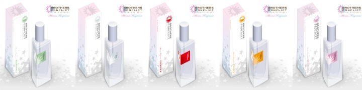 株式会社COZY WAVE のプレスリリース画像3