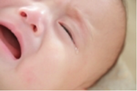 アマートムジカのプレスリリース