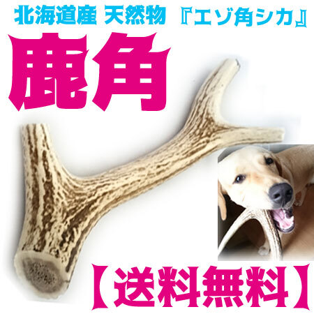 犬のおもちゃ 鹿角 が販売開始3か月で累計販売本数100本を突破 有限会社 市川クリーニング商会のプレスリリース