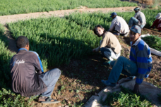 セカンドチャンスのプレスリリース画像3