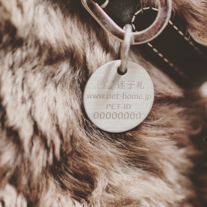 株式会社 Easy Communicationsのプレスリリース画像2