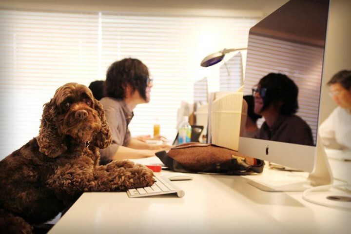 株式会社 Easy Communicationsのプレスリリース画像2