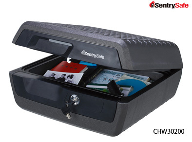 マスターロック・セントリー日本株式会社のプレスリリース画像3