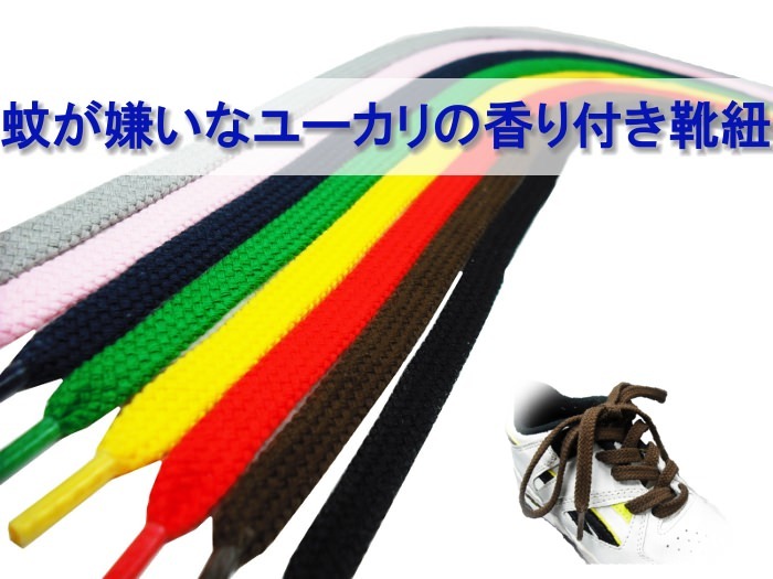 森製紐株式会社のプレスリリース画像1