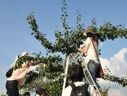 ロケーションリサーチ株式会社のプレスリリース画像2