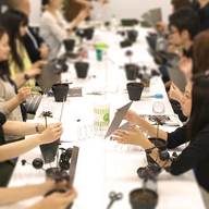 カイト株式会社のプレスリリース画像1