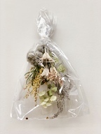 カイト株式会社のプレスリリース画像1