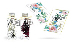 カイト株式会社のプレスリリース画像3