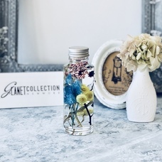 カイト株式会社のプレスリリース画像1