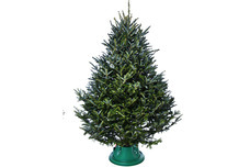 カイト株式会社のプレスリリース画像5