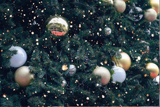 カイト株式会社のプレスリリース画像2