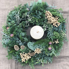 カイト株式会社のプレスリリース画像4