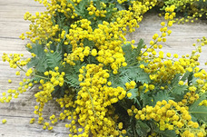 カイト株式会社のプレスリリース画像1