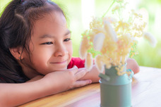 カイト株式会社のプレスリリース画像1