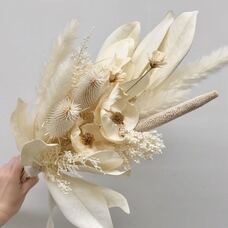 カイト株式会社のプレスリリース画像1