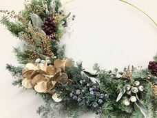 カイト株式会社のプレスリリース画像1