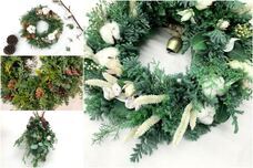 カイト株式会社のプレスリリース画像1