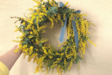 カイト株式会社のプレスリリース画像1