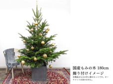 カイト株式会社のプレスリリース画像1