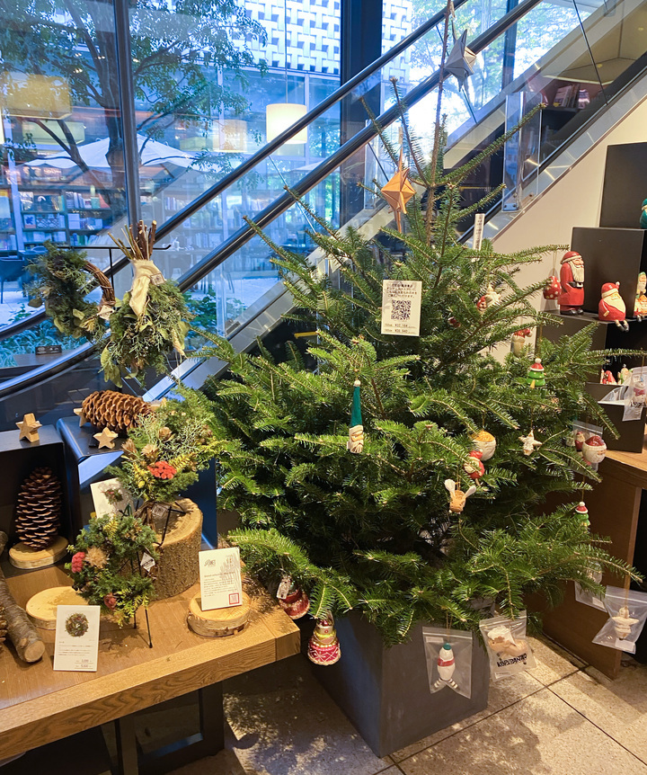 代官山 蔦屋書店で 本物のもみの木 が購入可能に Glanet Collectionのクリスマスアイテムも販売開始 カイト株式会社のプレスリリース