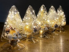 カイト株式会社のプレスリリース画像1