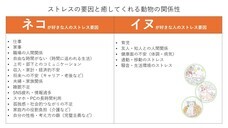 有限会社Imagination Creativeのプレスリリース画像6