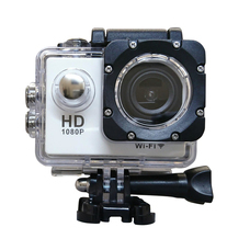 株式会社SACのプレスリリース画像4