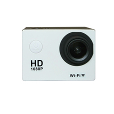 株式会社SACのプレスリリース画像3