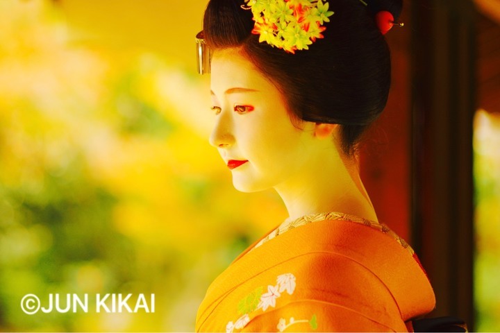 京都フラワーツーリズムのプレスリリース画像6