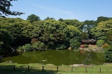 京都フラワーツーリズムのプレスリリース画像6