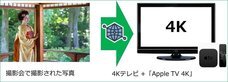 京都フラワーツーリズムのプレスリリース5