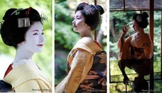 京都フラワーツーリズムのプレスリリース画像5