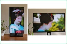 京都フラワーツーリズムのプレスリリース画像3