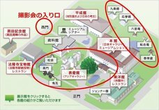 京都フラワーツーリズムのプレスリリース画像2