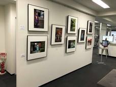 京都フラワーツーリズムのプレスリリース画像9