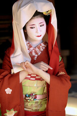 京都フラワーツーリズムのプレスリリース画像2