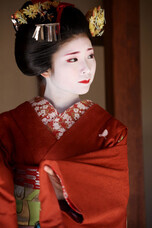 京都フラワーツーリズムのプレスリリース画像3