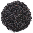 プレマ株式会社のプレスリリース画像6