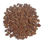 プレマ株式会社のプレスリリース画像3