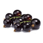 プレマ株式会社のプレスリリース画像2