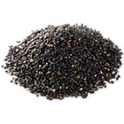 プレマ株式会社のプレスリリース画像4