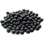 プレマ株式会社のプレスリリース画像5