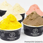 プレマ株式会社のプレスリリース画像4