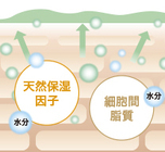 株式会社鈴木ハーブ研究所のプレスリリース画像1