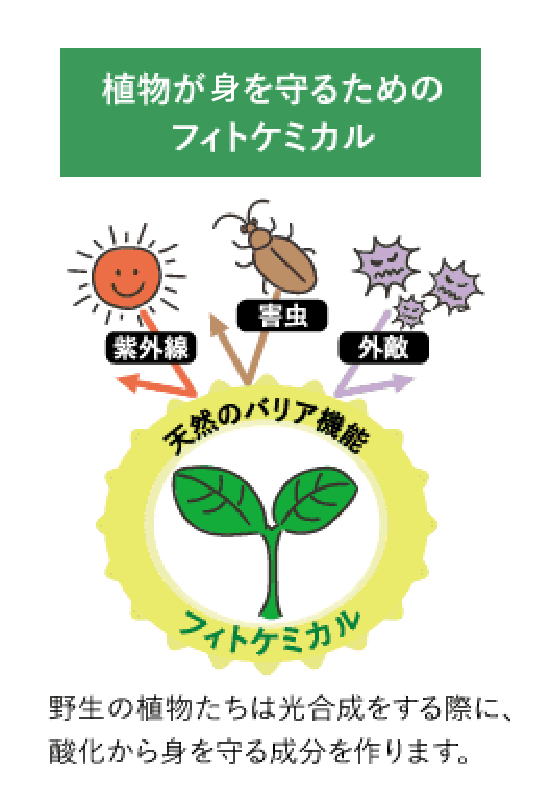 株式会社鈴木ハーブ研究所のプレスリリース画像2