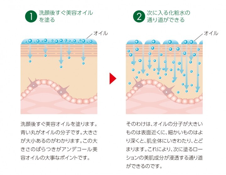 株式会社鈴木ハーブ研究所のプレスリリース画像9
