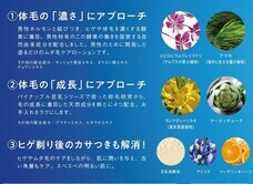 株式会社鈴木ハーブ研究所のプレスリリース画像3