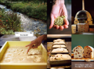 メディアサーフコミュニケーションズ株式会社のプレスリリース画像4