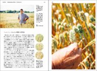 メディアサーフコミュニケーションズ株式会社のプレスリリース画像3