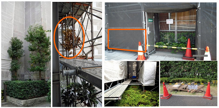 東邦レオ株式会社のプレスリリース画像1